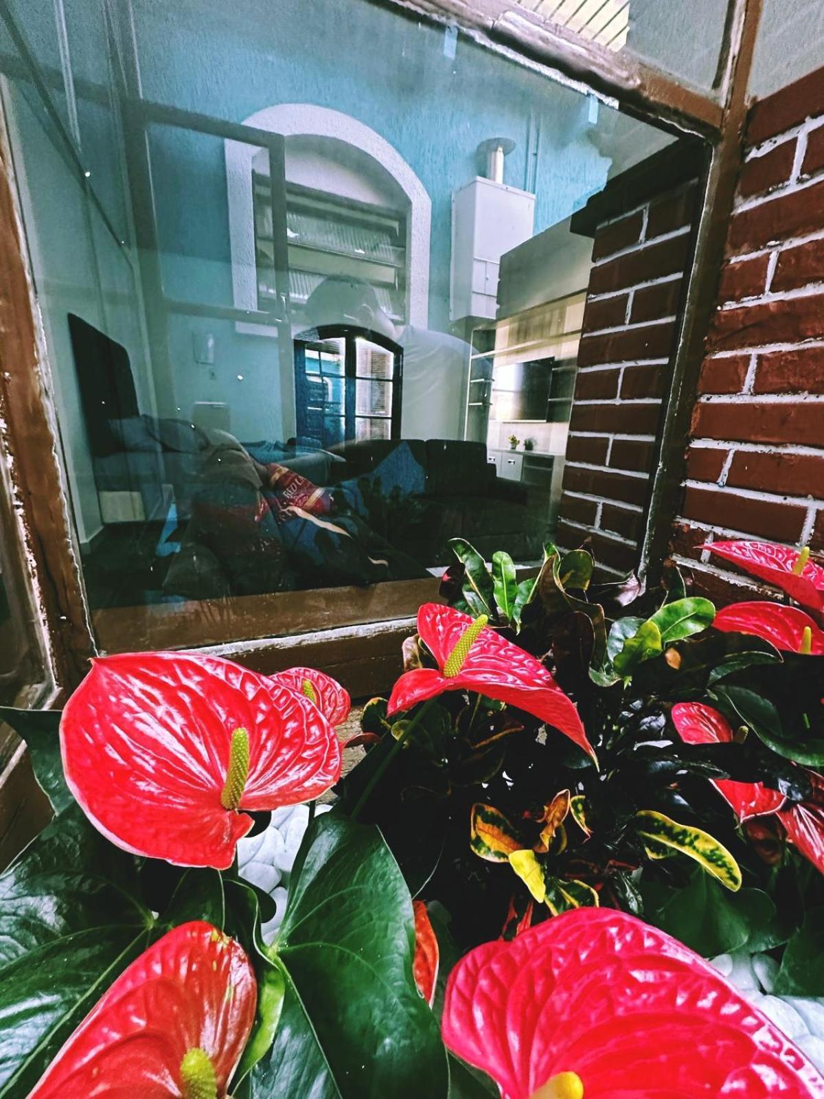 Florida Hospedagem domiciliar São Paulo